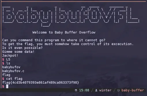 Image of terminal where I was able to get the flag