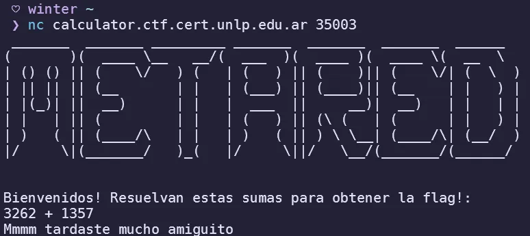 View of terminal after connecting to netcat