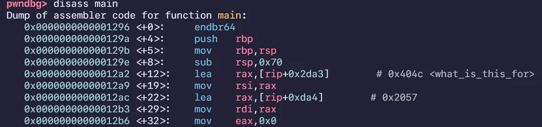 Finding weird global variable in disassembly